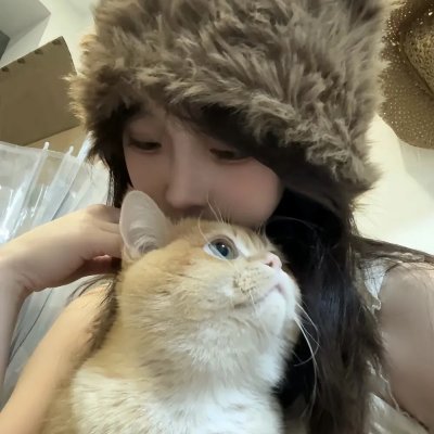 芝士伙伴